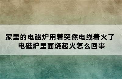 家里的电磁炉用着突然电线着火了 电磁炉里面烧起火怎么回事